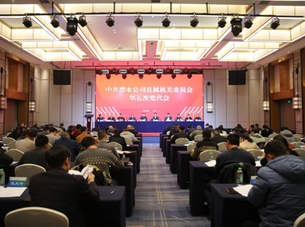 中共澧水公司直屬機關(guān)委員會第五次黨員代表大會召開