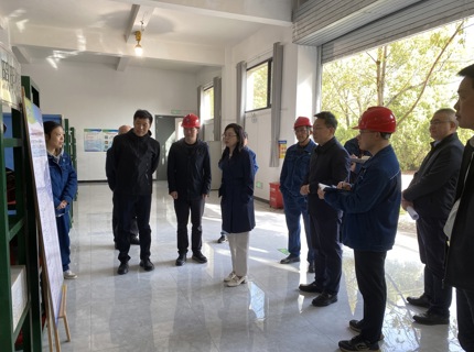 徐磊帶隊到江埡水庫檢查防汛備汛工作