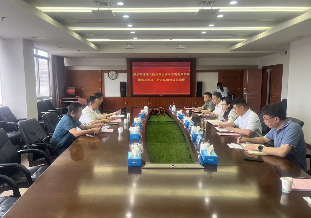 湖北能源集團座談