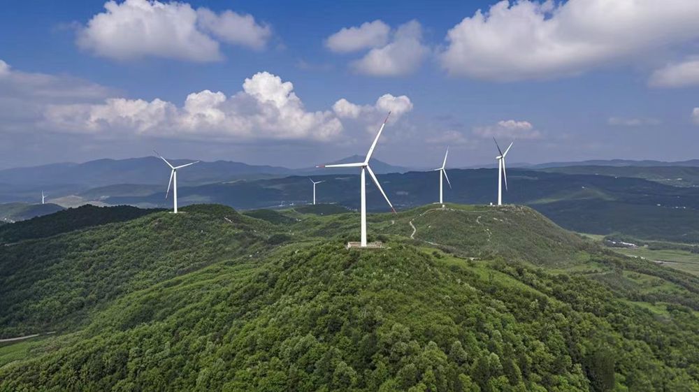 2adaa0d04635eebf54c6d1f7999fb6b