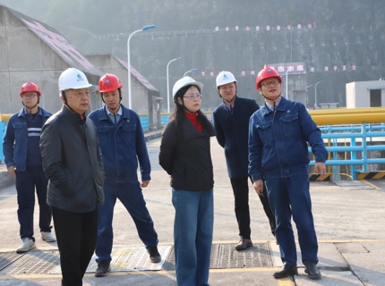 陳印輝帶隊檢查公司所屬水庫安全生產工作